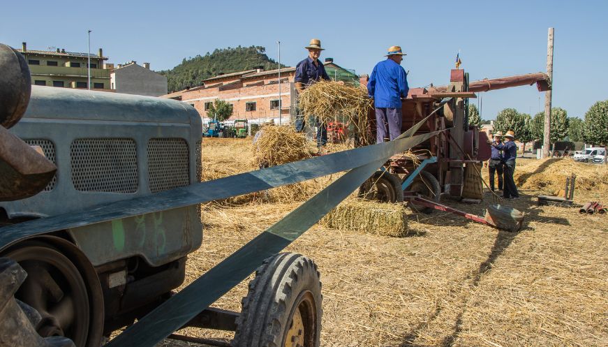 Santa Eulàlia celebra la Festa del Segar i el Batre 2