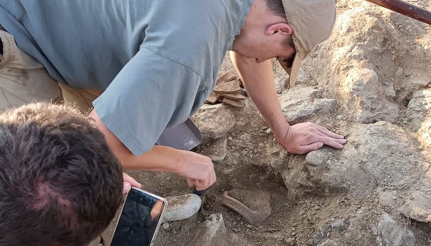 Les restes d’una muralla obren una 'nova pauta urbanística' al poblat ibèric de l’Esquerda 2