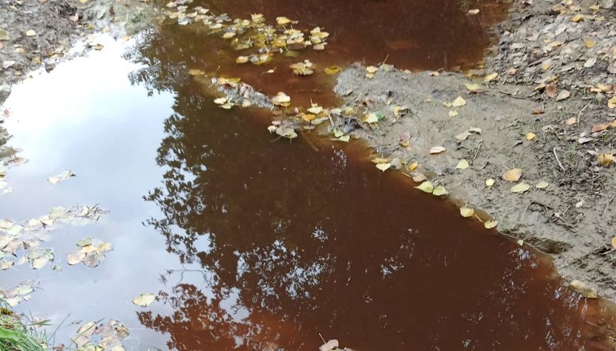 L’esquerda en un dipòsit d’una explotació provoca un vessament de purins a un torrent de Manlleu