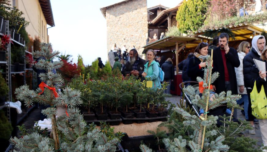 La Fira de l’Avet d’Espinelves registra “rècord” de visitants el primer cap de setmana d’obertura